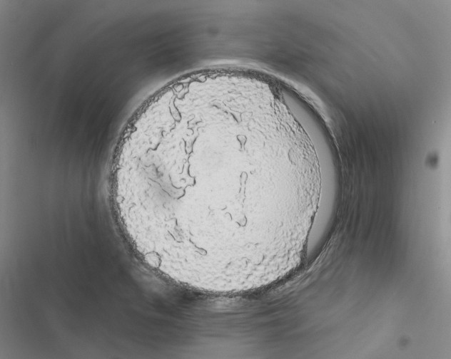 X0000116431279201001191503