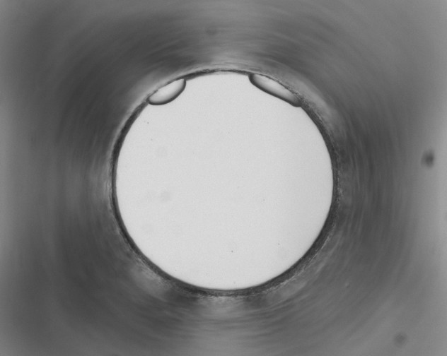 X0000116431280201001191503
