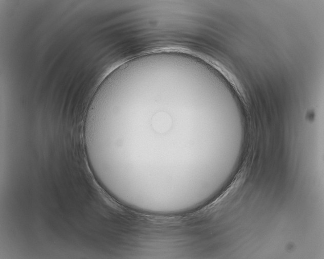 X0000116431281201001191503