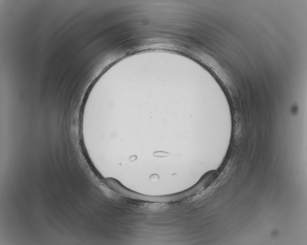 X0000116431282201001191503