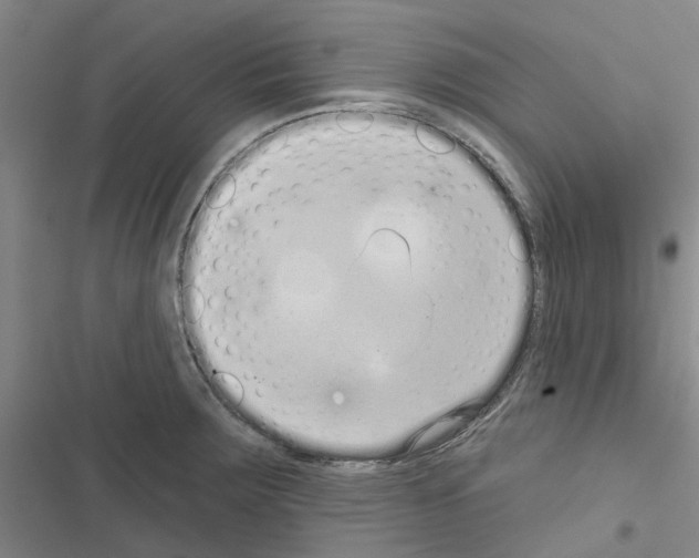 X0000116431283201001191503