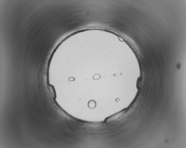 X0000116431288201001191503