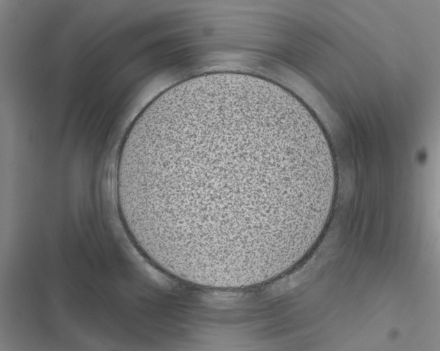 X0000116431290201001191503