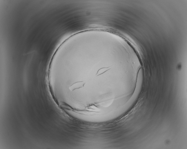 X0000116431291201001191503