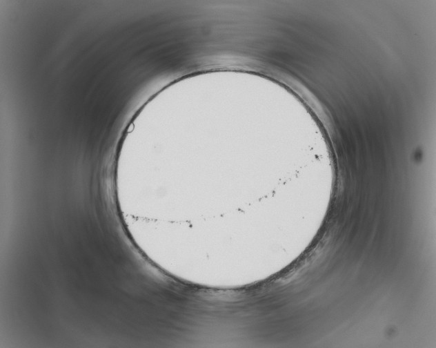 X0000116431293201001191503