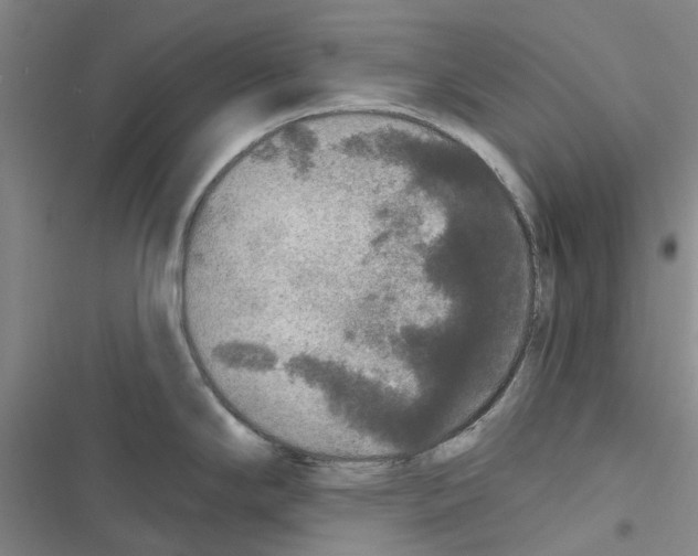 X0000116431294201001191503