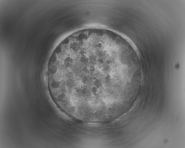 X0000116431295201001191503
