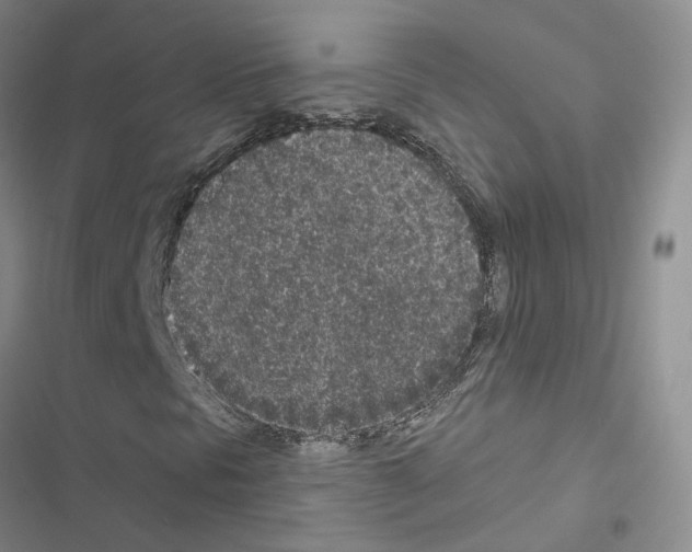X0000116431297201001191502