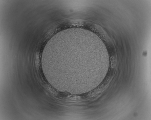 X0000116431298201001191502