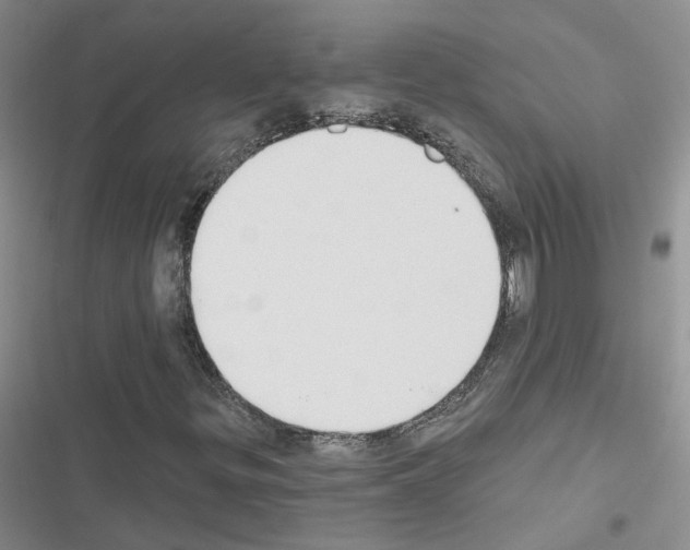 X0000116431299201001191502