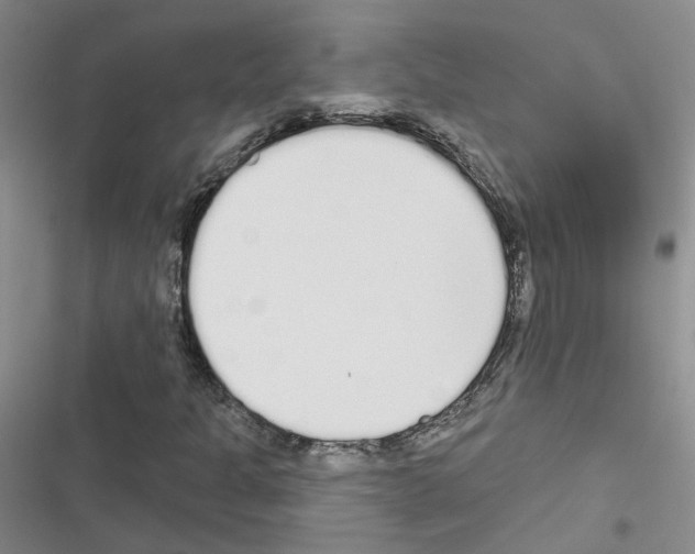 X0000116431301201001191502
