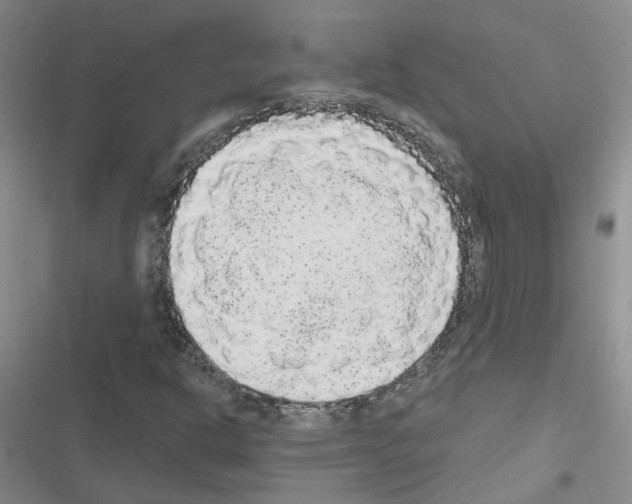 X0000116431302201001191502