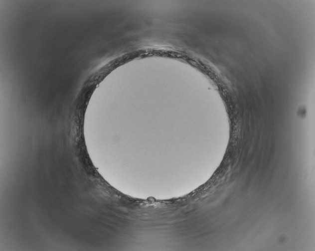 X0000116431303201001191502