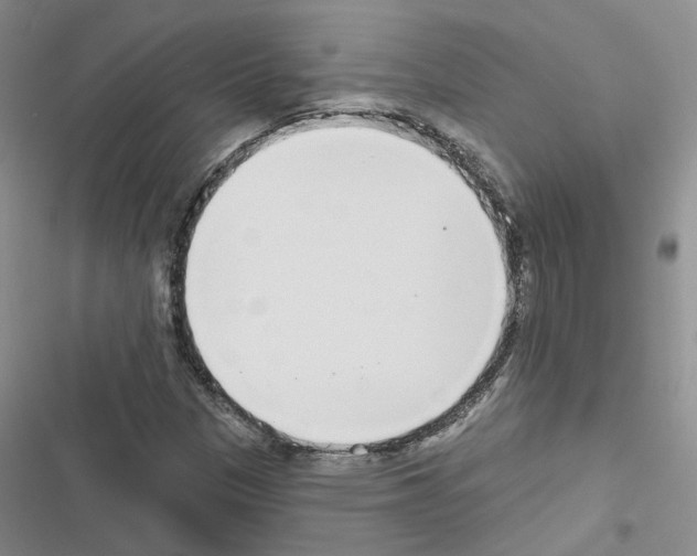 X0000116431305201001191502