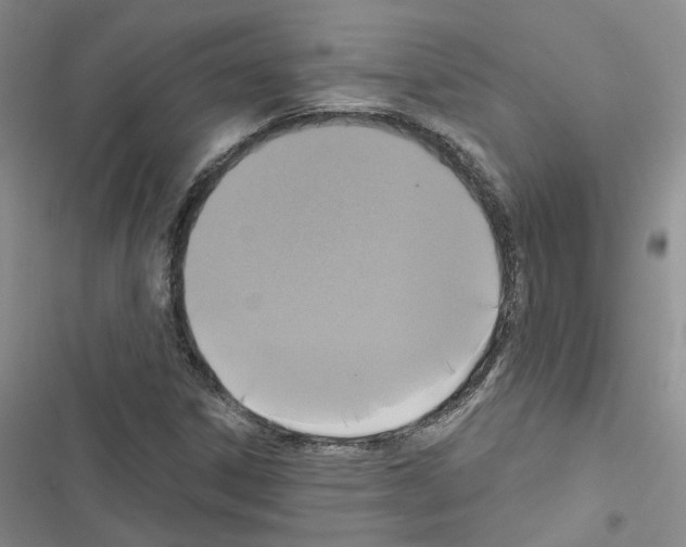 X0000116431306201001191502