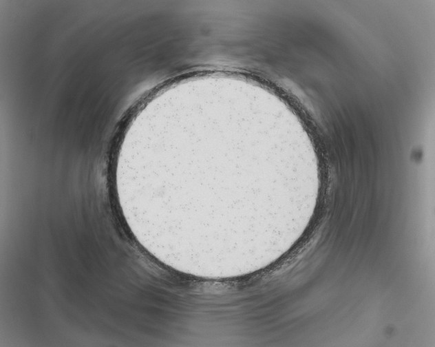 X0000116431307201001191502