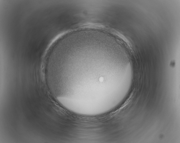 X0000116431310201001191502