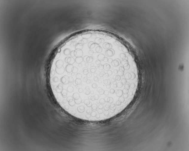 X0000116431311201001191502