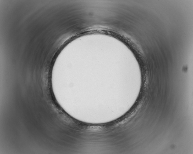 X0000116431313201001191502