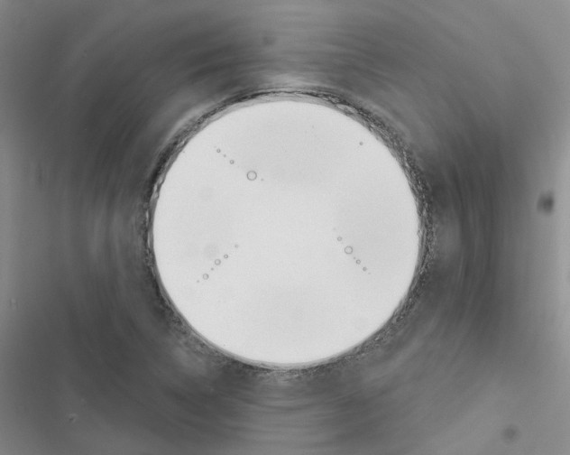 X0000116431314201001191502