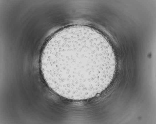 X0000116431315201001191502