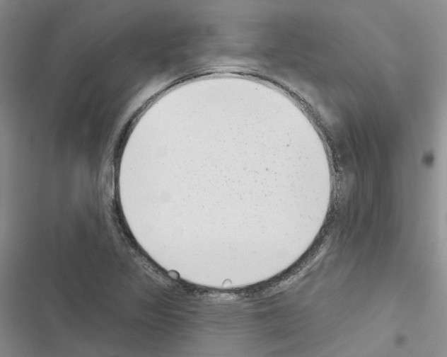 X0000116431317201001191502