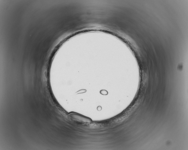 X0000116431318201001191502