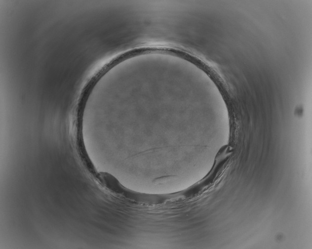 X0000116431319201001191502