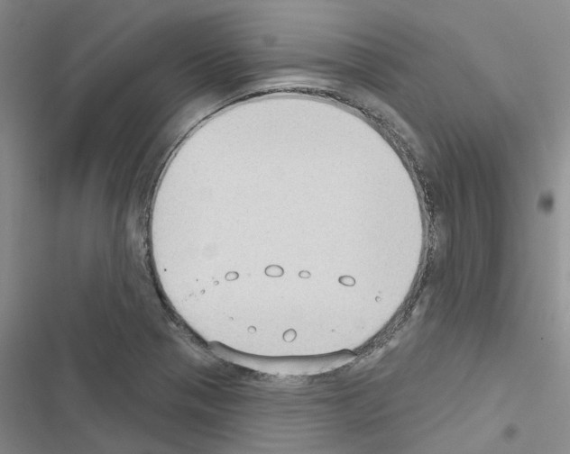 X0000116431321201001191503