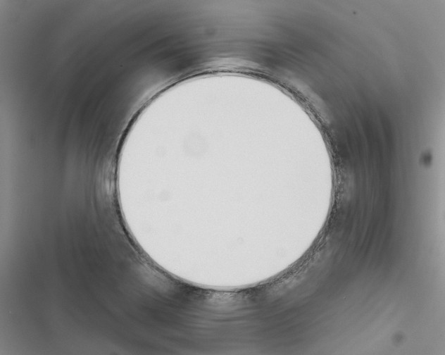 X0000116431322201001191503