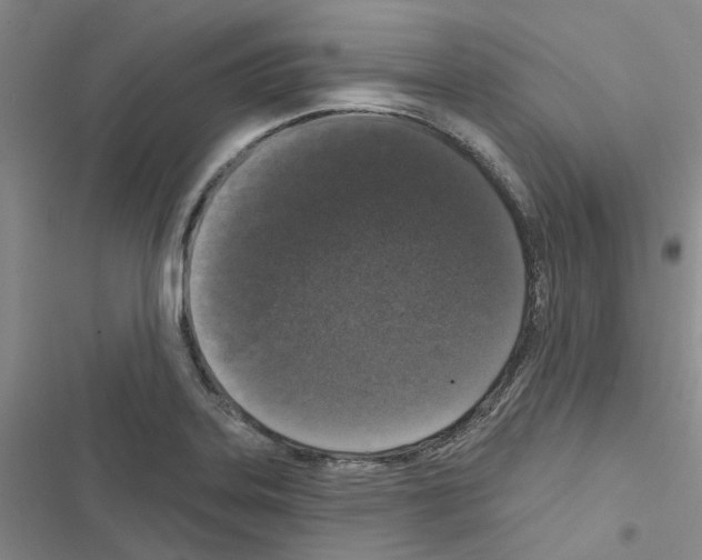 X0000116431323201001191503