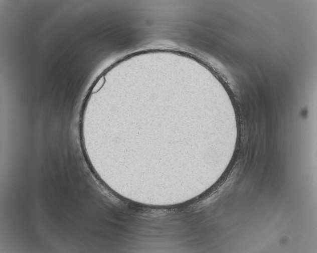 X0000116431326201001191503