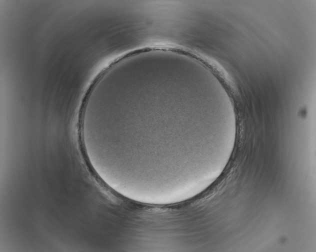 X0000116431327201001191503