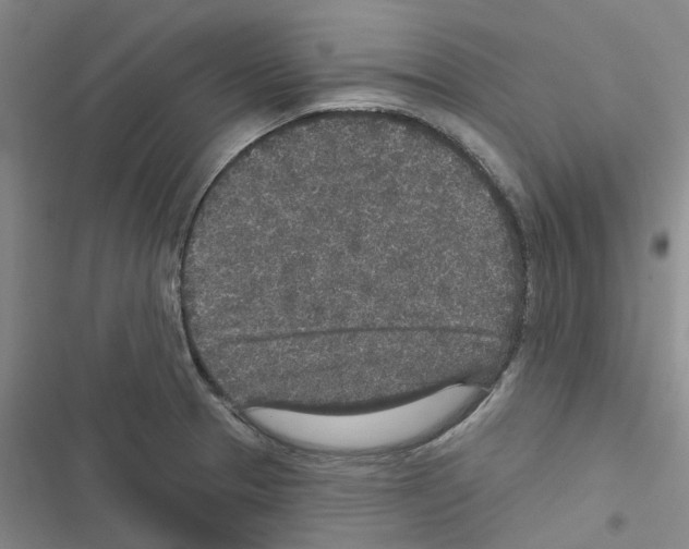 X0000116431329201001191503