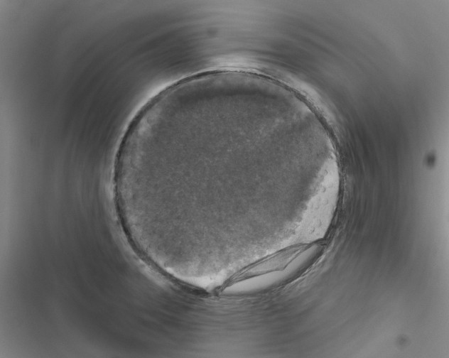X0000116431331201001191503