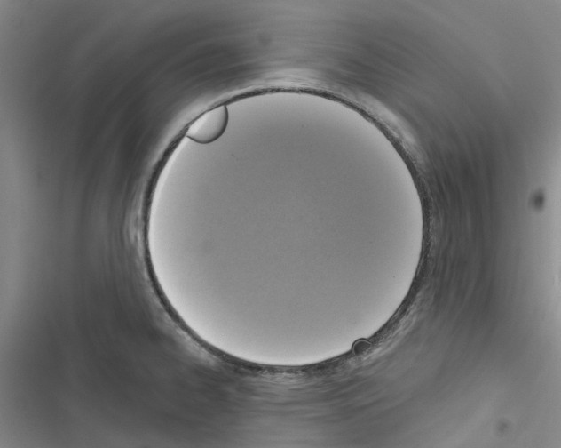 X0000116431334201001191503
