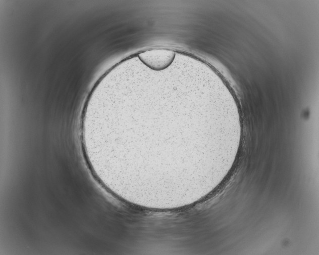 X0000116431335201001191503