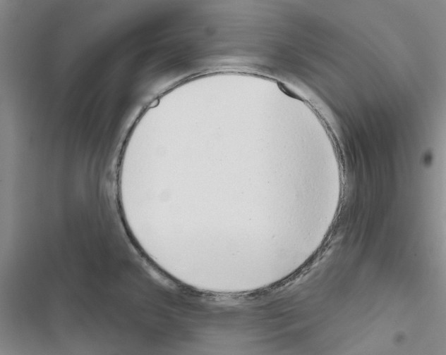 X0000116431341201001191503
