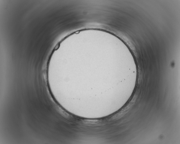 X0000116431342201001191503