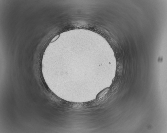 X0000116431345201001191502