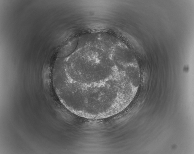 X0000116431346201001191502