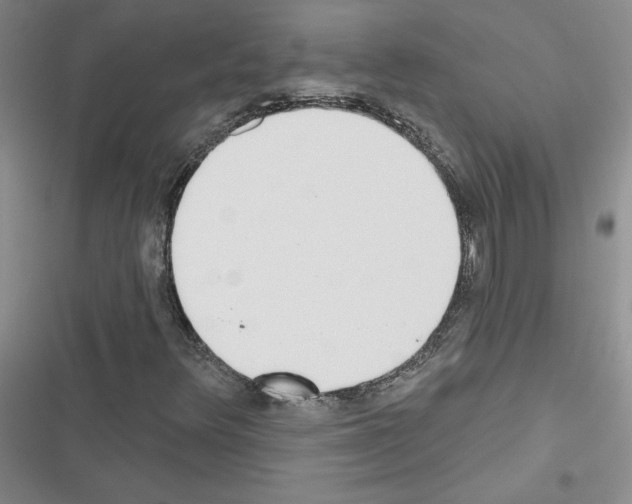 X0000116431348201001191502