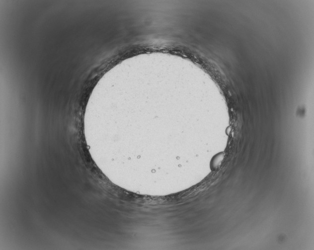 X0000116431349201001191502