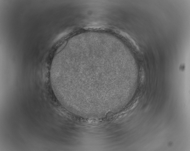 X0000116431350201001191502