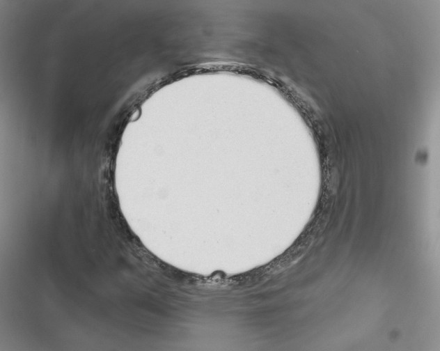X0000116431351201001191502