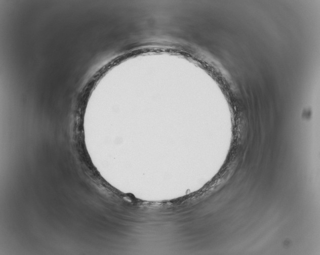 X0000116431352201001191502