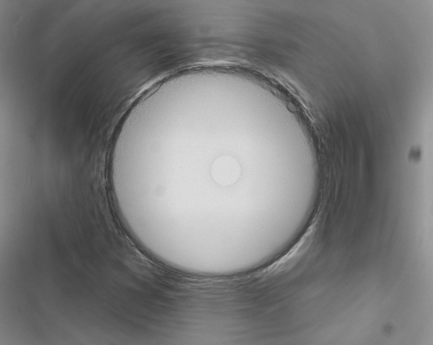 X0000116431353201001191502