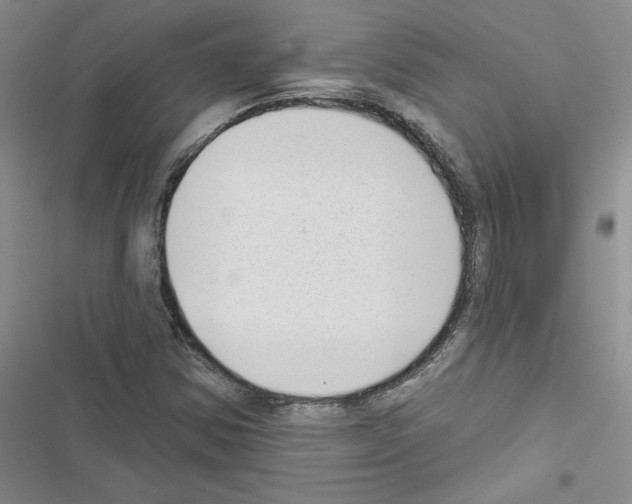 X0000116431354201001191502
