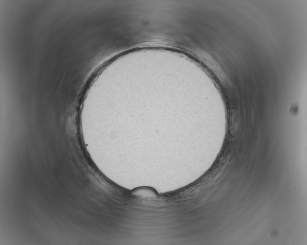 X0000116431356201001191502