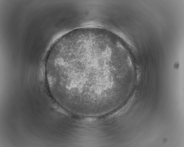 X0000116431358201001191502